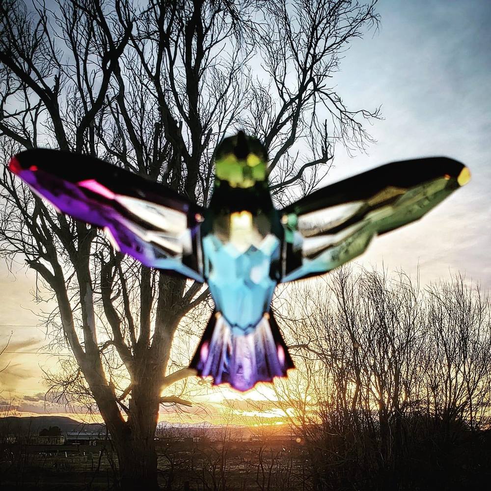 Meet your Posher, Leah